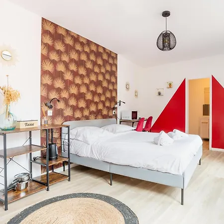 S&k Grande Rue - Chambre Spacieuse Et Sdb Privee - Netflix Et Cuisine Roubaix